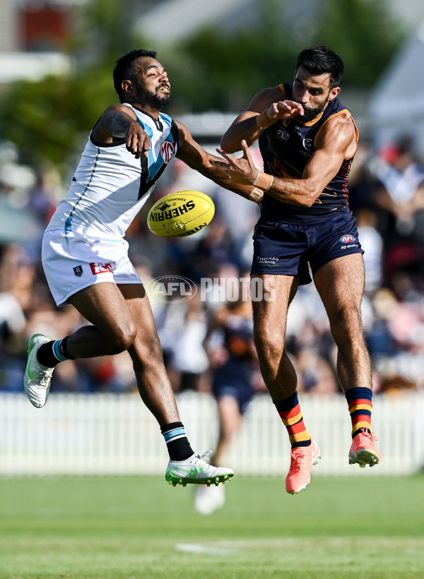 AFL 2025 Match Simulation - Adelaide v Port Adelaide - A-57550885