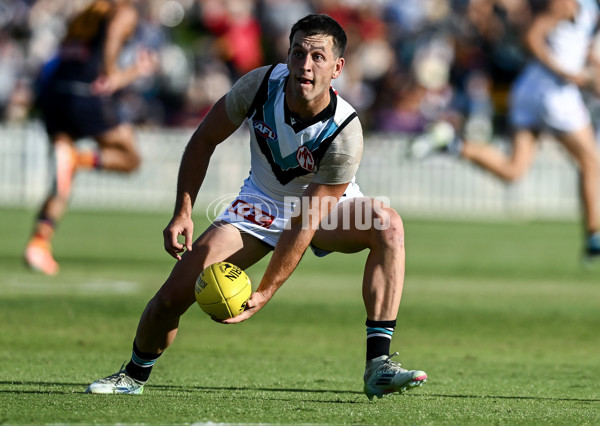 AFL 2025 Match Simulation - Adelaide v Port Adelaide - A-57550892