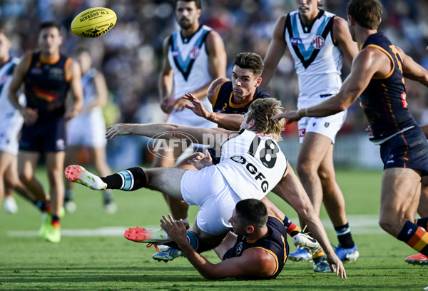 AFL 2025 Match Simulation - Adelaide v Port Adelaide - A-57551422