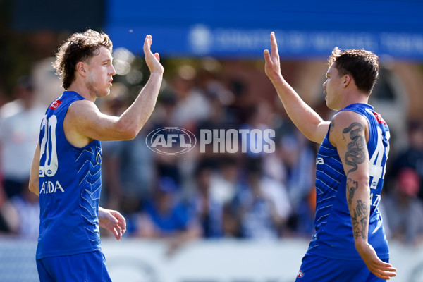 AFL 2025 Match Simulation - North Melbourne v Melbourne - A-57551426