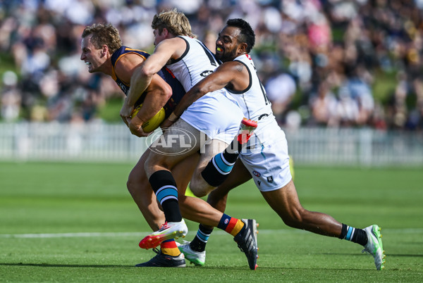 AFL 2025 Match Simulation - Adelaide v Port Adelaide - A-57551429