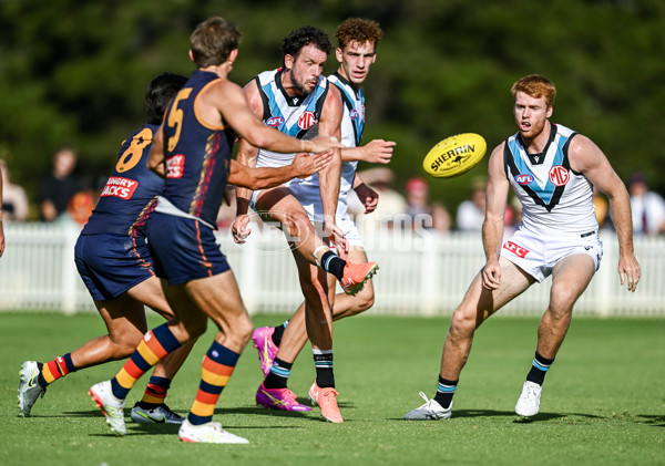 AFL 2025 Match Simulation - Adelaide v Port Adelaide - A-57551443