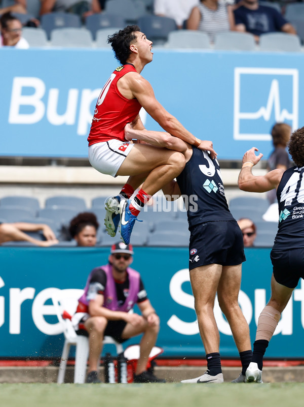 AFL 2025 Match Simulation - Carlton v St Kilda - A-57551462