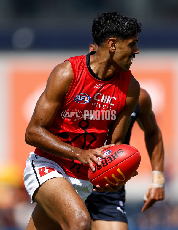 AFL 2025 Match Simulation - Carlton v St Kilda - A-57551465