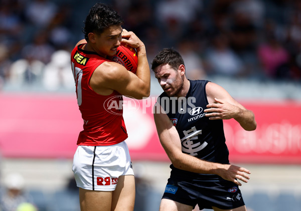 AFL 2025 Match Simulation - Carlton v St Kilda - A-57551504