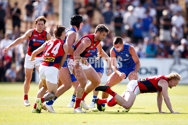 AFL 2025 Match Simulation - North Melbourne v Melbourne - A-57551510