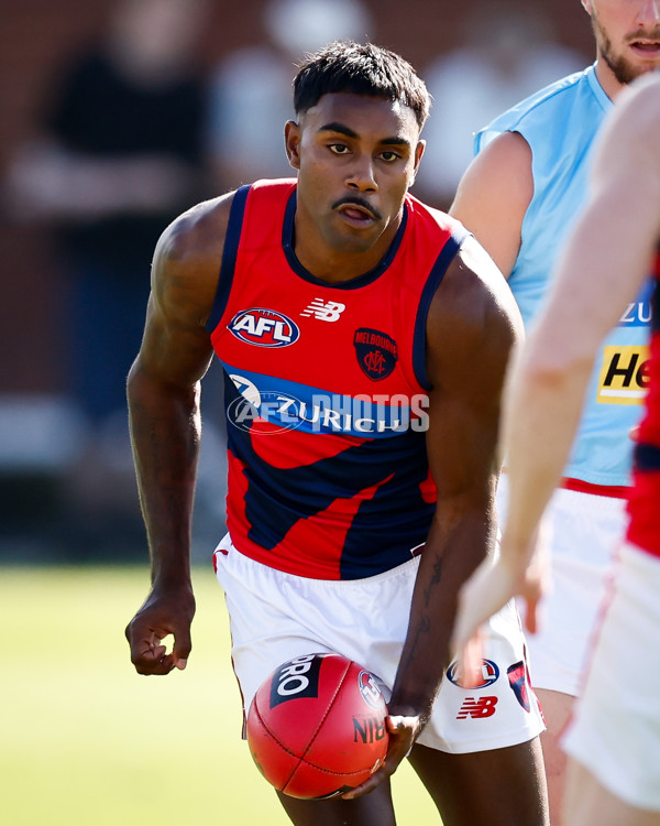 AFL 2025 Match Simulation - North Melbourne v Melbourne - A-57551847