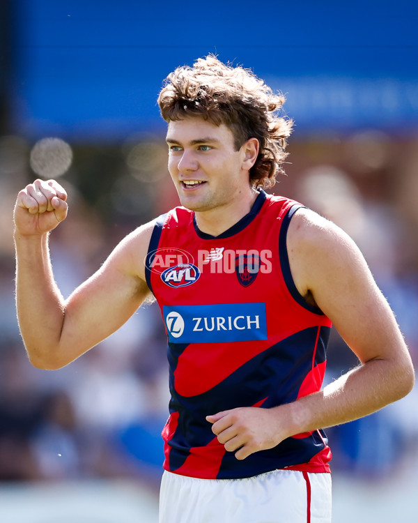 AFL 2025 Match Simulation - North Melbourne v Melbourne - A-57551898