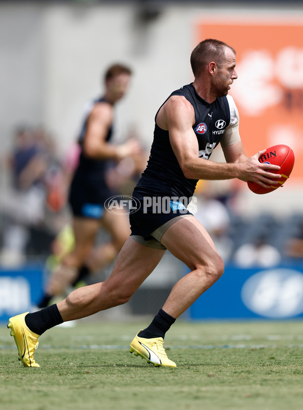 AFL 2025 Match Simulation - Carlton v St Kilda - A-57551899