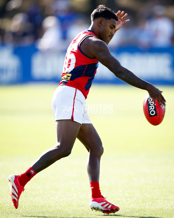 AFL 2025 Match Simulation - North Melbourne v Melbourne - A-57551903