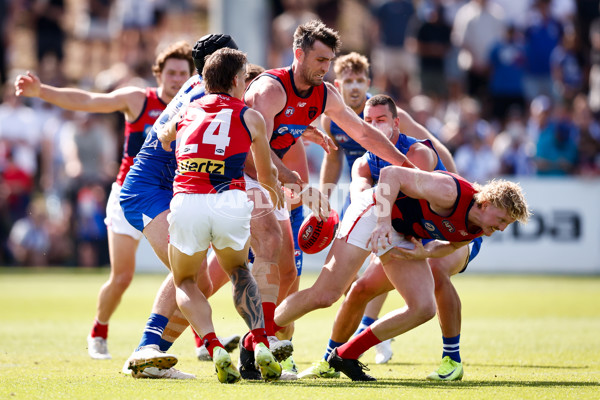 AFL 2025 Match Simulation - North Melbourne v Melbourne - A-57551905