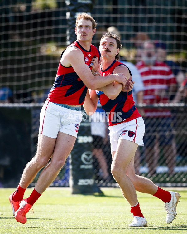 AFL 2025 Match Simulation - North Melbourne v Melbourne - A-57551907
