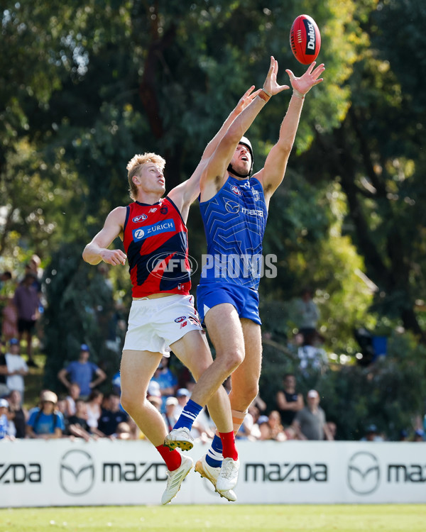 AFL 2025 Match Simulation - North Melbourne v Melbourne - A-57551915