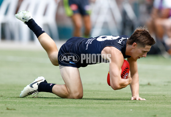 AFL 2025 Match Simulation - Carlton v St Kilda - A-57551919