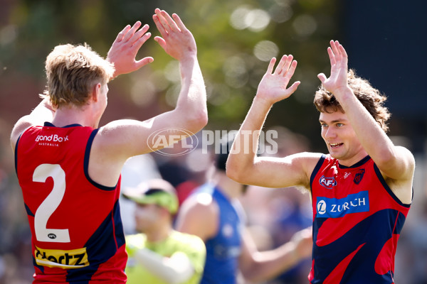AFL 2025 Match Simulation - North Melbourne v Melbourne - A-57552125