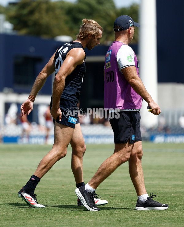 AFL 2025 Match Simulation - Carlton v St Kilda - A-57552126