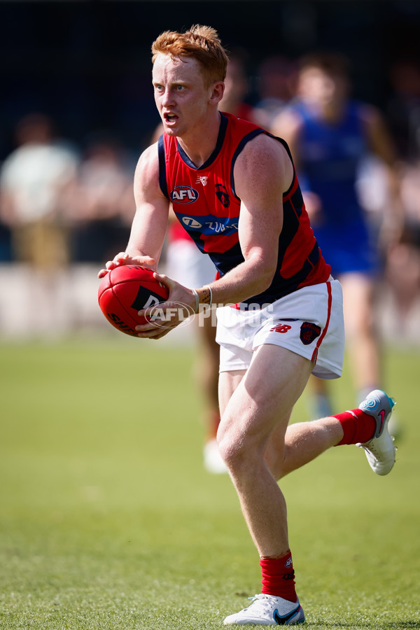 AFL 2025 Match Simulation - North Melbourne v Melbourne - A-57552127