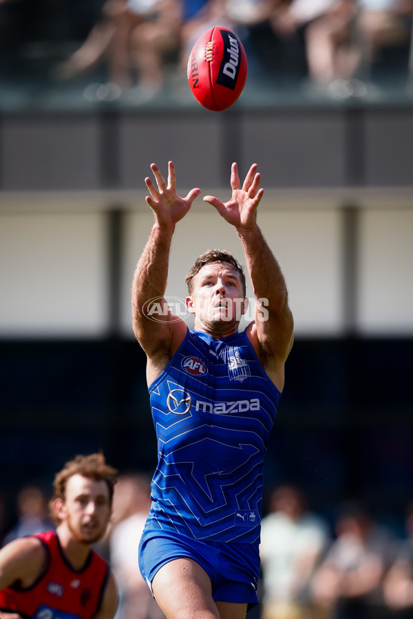 AFL 2025 Match Simulation - North Melbourne v Melbourne - A-57552131