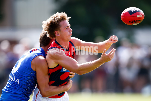 AFL 2025 Match Simulation - North Melbourne v Melbourne - A-57552141