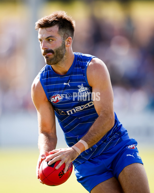 AFL 2025 Match Simulation - North Melbourne v Melbourne - A-57552154