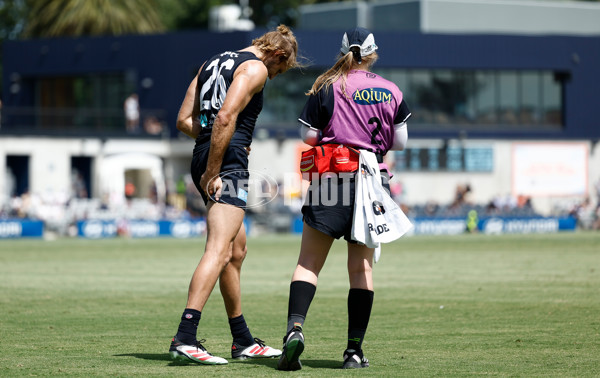 AFL 2025 Match Simulation - Carlton v St Kilda - A-57552171