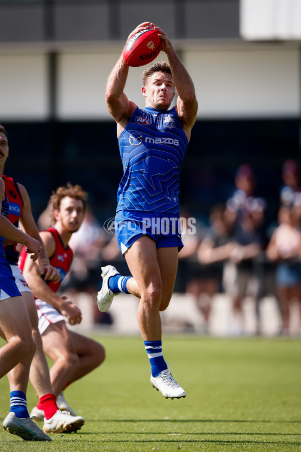 AFL 2025 Match Simulation - North Melbourne v Melbourne - A-57552173