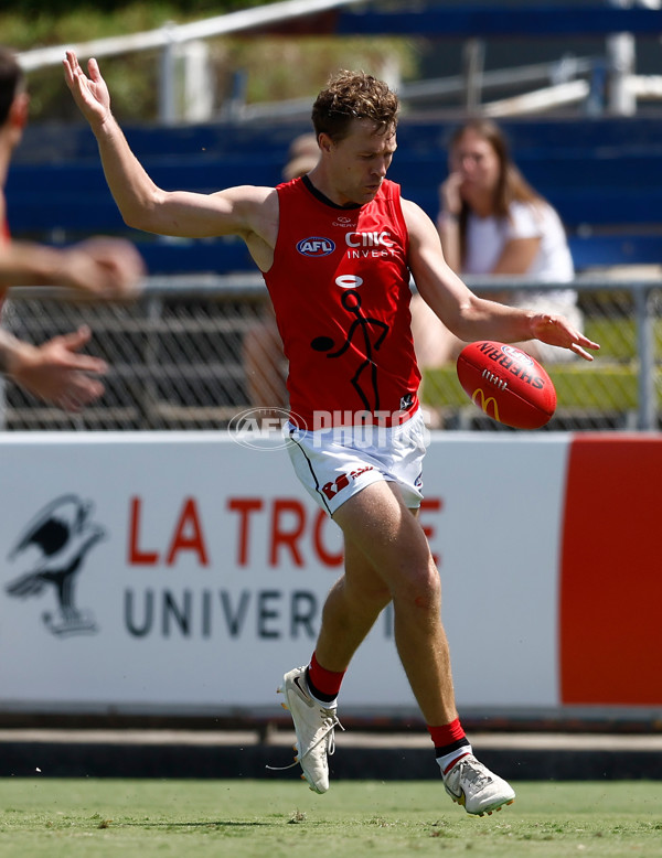 AFL 2025 Match Simulation - Carlton v St Kilda - A-57552175