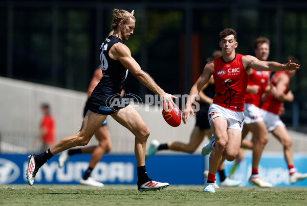 AFL 2025 Match Simulation - Carlton v St Kilda - A-57552176