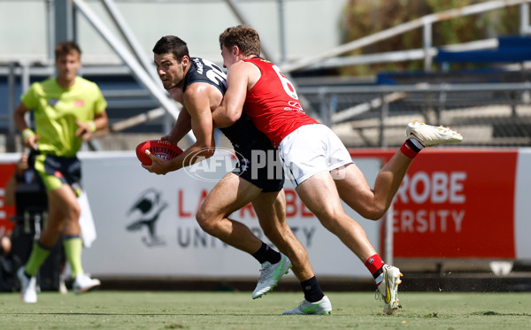 AFL 2025 Match Simulation - Carlton v St Kilda - A-57552179