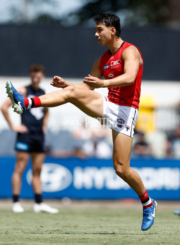 AFL 2025 Match Simulation - Carlton v St Kilda - A-57552190