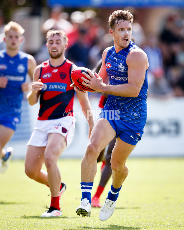 AFL 2025 Match Simulation - North Melbourne v Melbourne - A-57552194