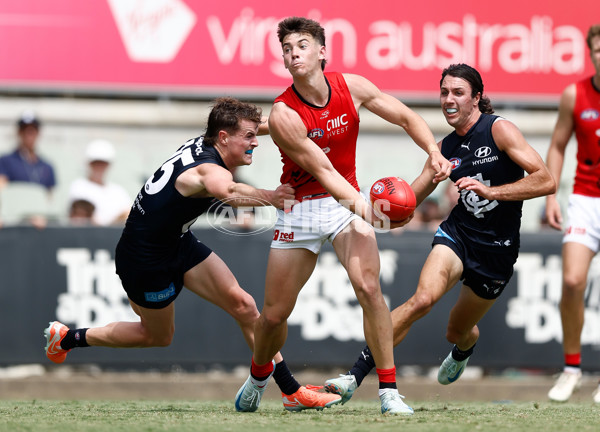 AFL 2025 Match Simulation - Carlton v St Kilda - A-57552203