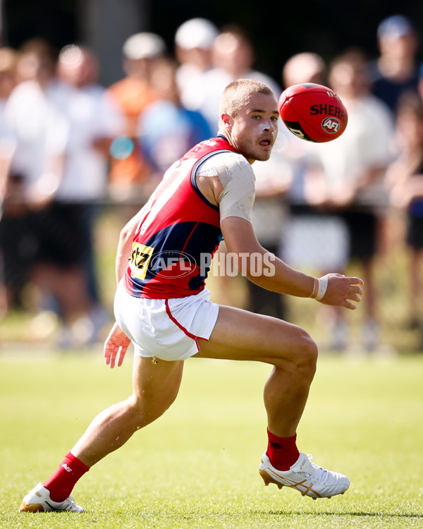 AFL 2025 Match Simulation - North Melbourne v Melbourne - A-57552221