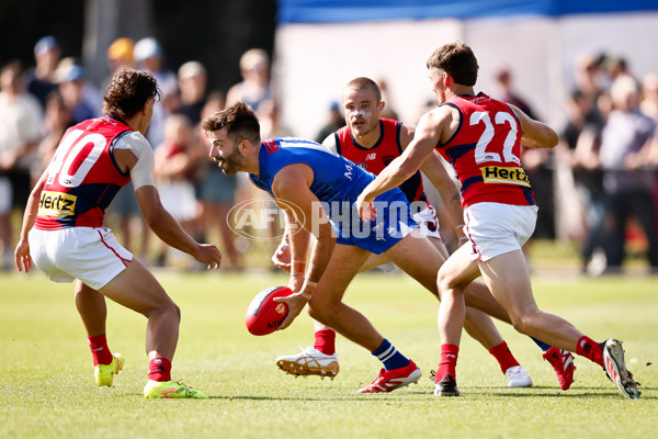 AFL 2025 Match Simulation - North Melbourne v Melbourne - A-57552223