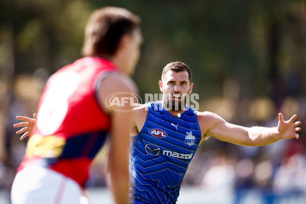 AFL 2025 Match Simulation - North Melbourne v Melbourne - A-57552639