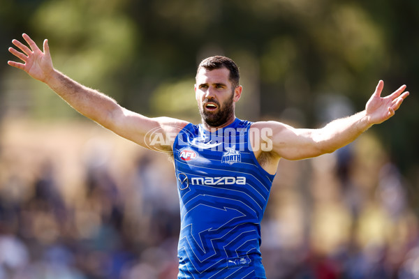 AFL 2025 Match Simulation - North Melbourne v Melbourne - A-57552670