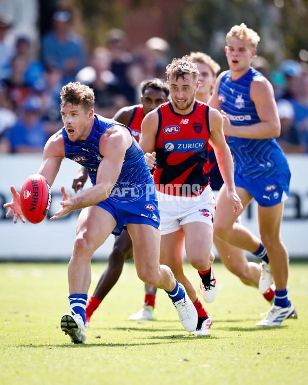 AFL 2025 Match Simulation - North Melbourne v Melbourne - A-57552671