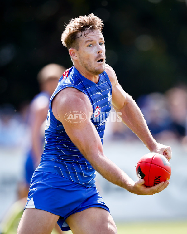 AFL 2025 Match Simulation - North Melbourne v Melbourne - A-57552673