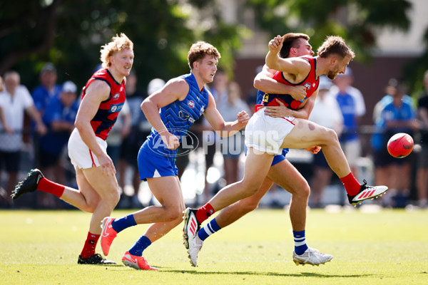 AFL 2025 Match Simulation - North Melbourne v Melbourne - A-57552685