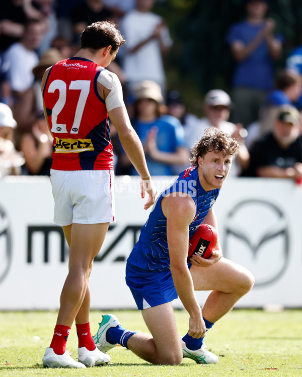 AFL 2025 Match Simulation - North Melbourne v Melbourne - A-57552686