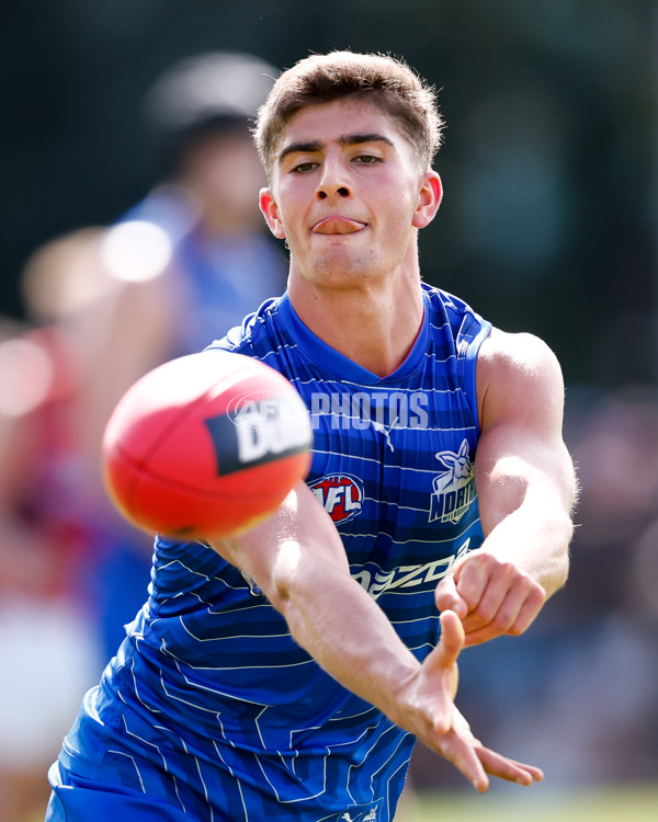 AFL 2025 Match Simulation - North Melbourne v Melbourne - A-57553234
