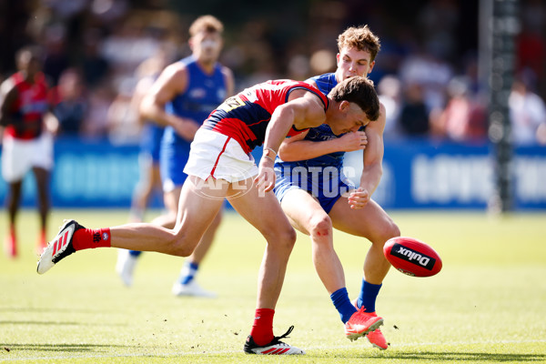 AFL 2025 Match Simulation - North Melbourne v Melbourne - A-57553240