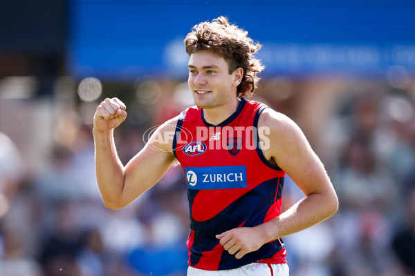 AFL 2025 Match Simulation - North Melbourne v Melbourne - A-57553241