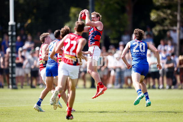 AFL 2025 Match Simulation - North Melbourne v Melbourne - A-57553243