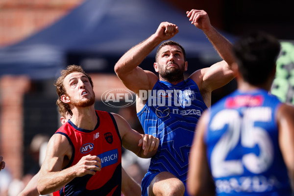 AFL 2025 Match Simulation - North Melbourne v Melbourne - A-57553254