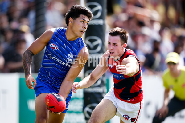 AFL 2025 Match Simulation - North Melbourne v Melbourne - A-57553255