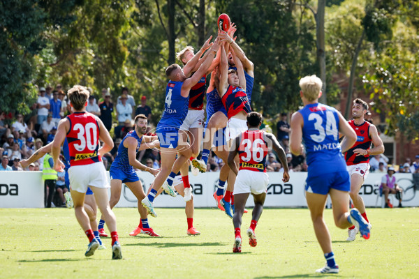 AFL 2025 Match Simulation - North Melbourne v Melbourne - A-57567891