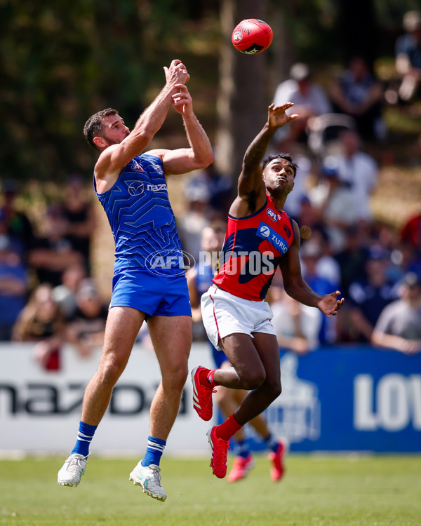 AFL 2025 Match Simulation - North Melbourne v Melbourne - A-57568494