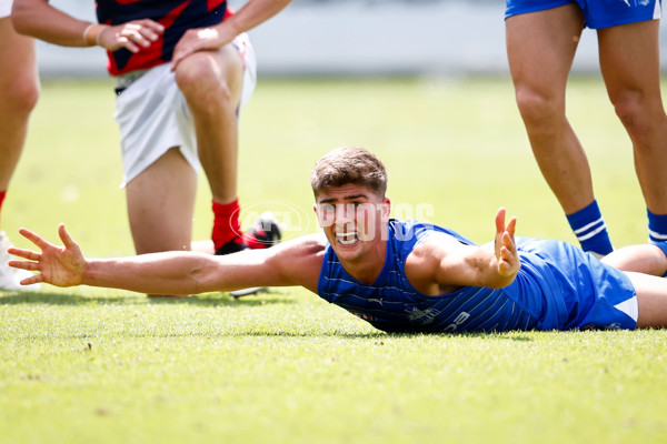 AFL 2025 Match Simulation - North Melbourne v Melbourne - A-57568496