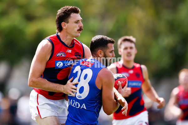 AFL 2025 Match Simulation - North Melbourne v Melbourne - A-57568991